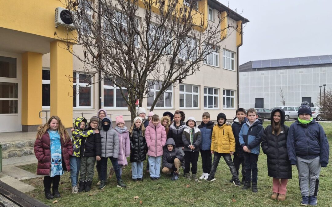 Drugašići brinu o pticama zimi