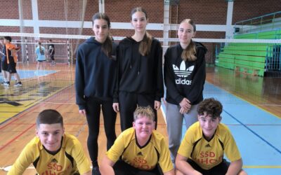 Županijska završnica iz badmintona